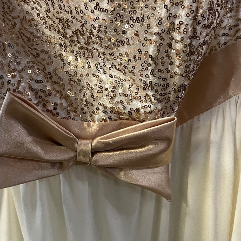 Jessica McClintock Cream and Gold Dress - Picture 4 of 4